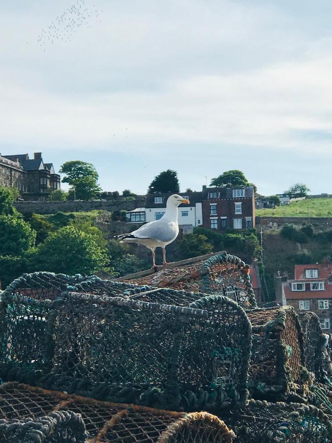Low Tide Whitby Exteriör bild